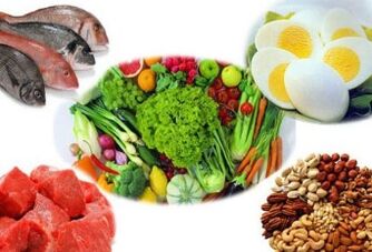 Dieta de vidas de ardilla